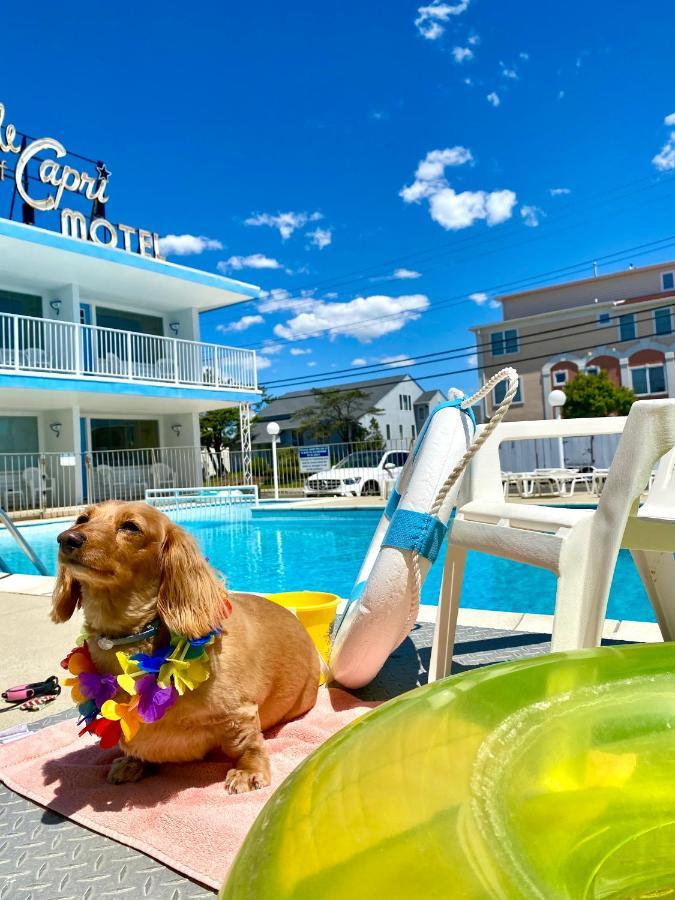 Isle Of Capri Motel North Wildwood Exterior foto